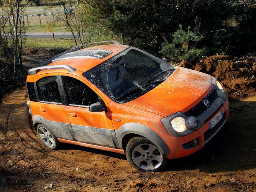  Fiat Panda Cross 2005 года  (фото 44 из 48)